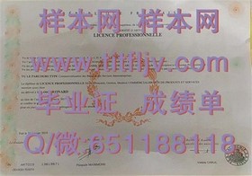 《阿伯泰邓迪大学毕业证文凭成绩单样本详解：真实模板曝光，留学参考必备》