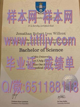 《深度揭秘：都柏林城市大学文凭样本解析，留学必备成绩单指南》
