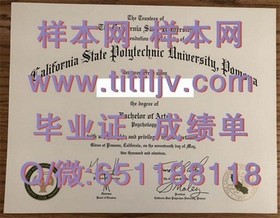 《安大略艺术设计学院文凭揭秘：毕业证样本及成绩单全解析》