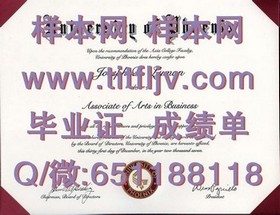 《乌克兰基辅大学文凭样本详解：成绩单样式及毕业证书揭秘》