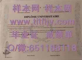 《曼彻斯特城市大学文凭揭秘：成绩单样本全解析，留学必备参考》
