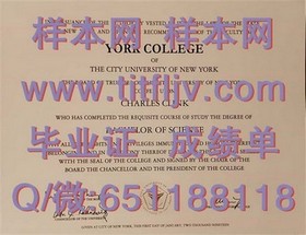《布鲁奈尔大学文凭揭秘：真实成绩单样本深度解析》