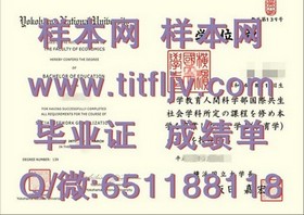 《揭秘东伦敦大学真实文凭样本：成绩单详解，助你留学规划精准无误》