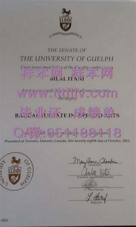 《深度揭秘：都柏林城市大学官方文凭、成绩单样本详解，留学必备参考》