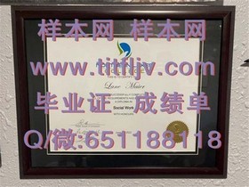 《利莫瑞克理工学院文凭样本揭秘：成绩单样式解析与留学参考》