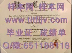 《阳光海岸大学文凭样本揭秘：成绩单详解，留学必备指南》