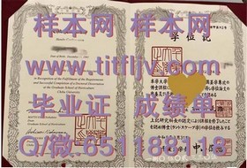 《剑桥大学官方文凭揭秘：成绩单样本深度解析，留学必备！》