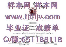 《揭秘布莱顿大学真实文凭样本：成绩单解析与获取指南》