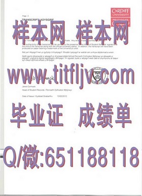 《纽卡斯尔大学文凭样本深度解析：成绩单详解，留学必备攻略》