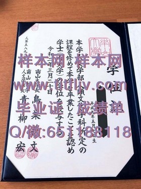 《揭秘南安普顿大学官方文凭样本：成绩单详解及毕业证获取攻略》
