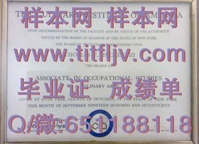 《兰卡斯特大学文凭样本大揭秘：成绩单详解，留学必备攻略》