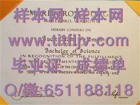 《新加坡管理大学文凭真迹揭秘：一睹证书与成绩单风采》
