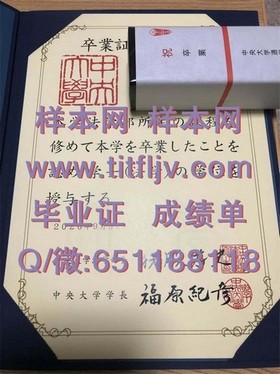 《新加坡国立大学文凭样本解析：成绩单与毕业证详解，留学必备指南》