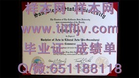 《新西兰林肯大学文凭样本揭秘：真实成绩单详解与获取途径》