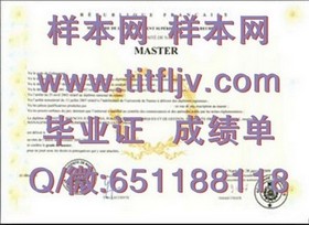 《荷兰屯特大学文凭样本揭秘：成绩单详解，留学必备参考》