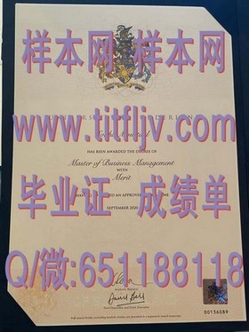 《布里斯托大学文凭深度解析：成绩单样本大揭秘，留学必备指南》