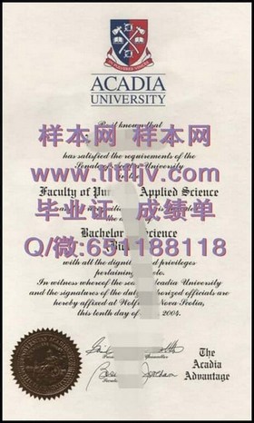 《埃塞克斯大学文凭深度解析：成绩单样本揭秘，留学必备指南》