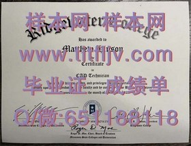 《巴斯思帕大学毕业证样本解析：文凭成绩单细节一览》