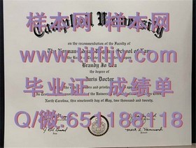 《奥塔哥大学毕业证样本揭秘：真实文凭与成绩单深度解析》