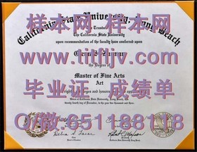《深度揭秘：都柏林城市大学官方文凭样本，成绩单样式一览无遗！》