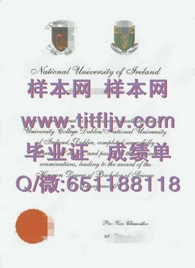 《揭秘利默里克大学毕业证书与成绩单模板：权威样本解析，助你深入了解爱尔兰高等教育》