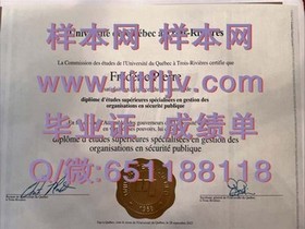 《爱尔兰高威大学文凭样本揭秘：成绩单详解与获取途径》