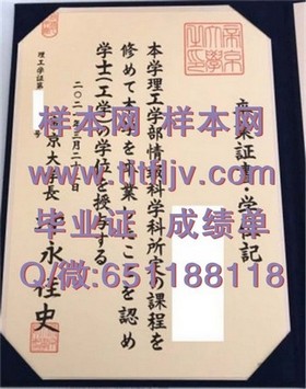 《揭秘爱尔兰顶尖学府——都柏林理工学院毕业证文凭成绩单样本，留学必备指南》