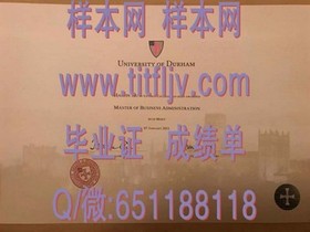 《阿德莱德大学毕业证样本详解：文凭与成绩单全解析，留学必备指南》