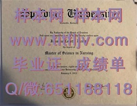《纽卡斯尔大学文凭样本揭秘：成绩单样式与毕业证细节一览》