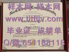 《牛津大学文凭样本大揭秘：真实成绩单详解，留学必备参考》