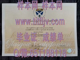 《华威大学文凭深度解析：成绩单样本大揭秘，留学必备攻略》