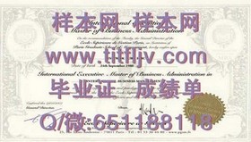 《利兹大学文凭样本大揭秘：真实成绩单解析，留学必备参考》