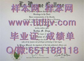 《里丁大学文凭样本解析：深度揭秘真实成绩单与毕业证书细节》