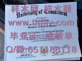 《揭秘悉尼大学文凭真伪：完整样本解析与成绩单对比指南》