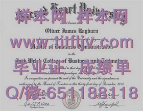 《南澳大学毕业证文凭成绩单样本揭秘：真实示例详解与识别技巧》
