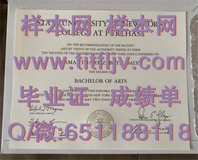 《揭秘阿德莱德大学真文凭：成绩单样本大解析，留学必备攻略！》