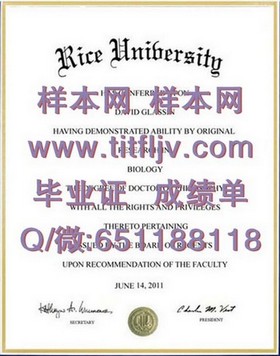《S.P. Jain管理学院文凭揭秘：毕业证书与成绩单样本深度解析》