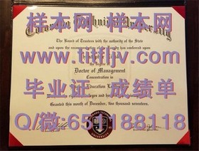 《华威大学文凭样本解析：成绩单、毕业证全解读，留学必备指南》