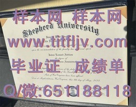 《伦敦大学文凭样本揭秘：成绩单详解，留学必备指南》