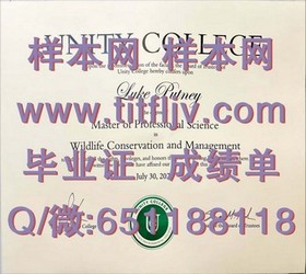 《深度揭秘：布莱德福德大学毕业证文凭成绩单样本详解，助你了解真实学历认证》
