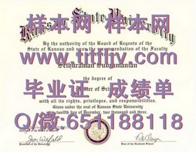 《伦敦城市大学文凭揭秘：成绩单样本深度解析，留学必备信息！》