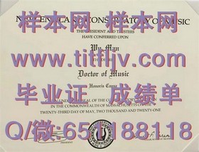 《加拿大约克大学文凭样本深度解析：成绩单解读与毕业证样板一览》