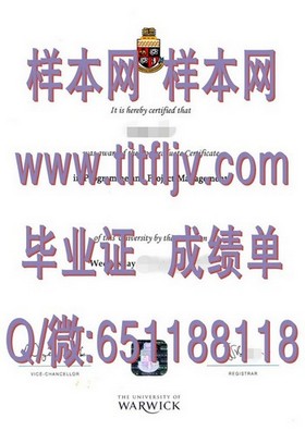 《纽卡斯尔大学文凭样本揭秘：成绩单与毕业证全解析》