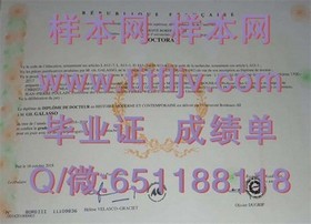 《波士顿学院文凭样本大揭秘：完整成绩单解析及获取指南》