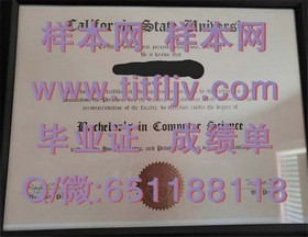 《揭秘莱斯特大学文凭样本：成绩单详解，留学必备指南》