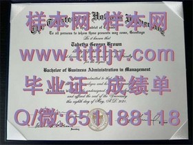 《萨里大学文凭样本揭秘：一窥英国名校证书真貌》