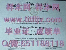 《深度揭秘：南安普顿索兰特大学官方文凭样本，助你了解真实成绩单细节》
