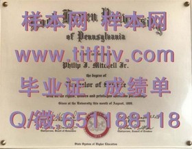 《切斯特大学文凭样本大揭秘：成绩单、毕业证全解析》