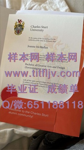 《爱尔兰国立大学文凭样本揭秘：完整成绩单详解与留学必备攻略》