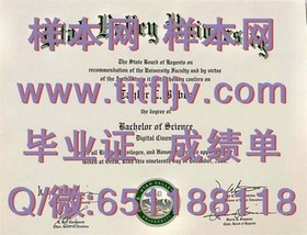 《深度揭秘：埃塞克斯大学官方文凭样本解析，助你轻松识别真伪！》